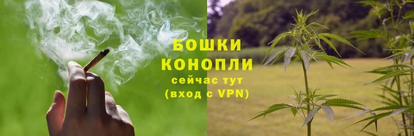 сатива Билибино