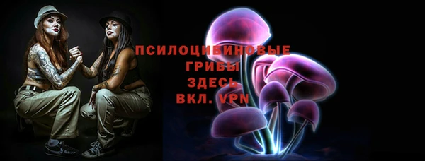 гашик Надым