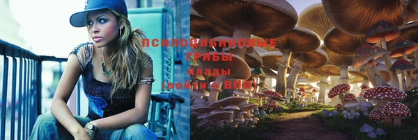 стаф Наволоки