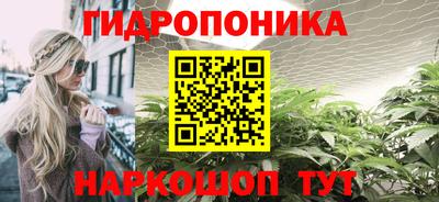 spice Гатчина