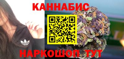 spice Гатчина