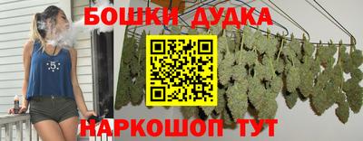 spice Гатчина