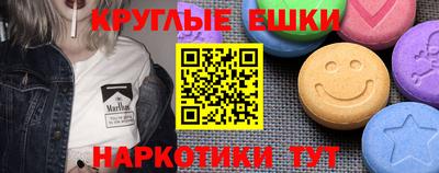 spice Гатчина
