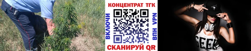 цена   Знаменск  Дистиллят ТГК THC oil 