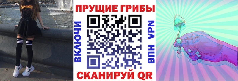 Псилоцибиновые грибы ЛСД  Знаменск 