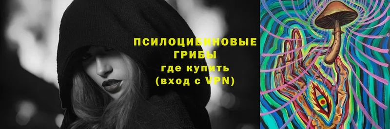 как найти закладки  Знаменск  сайты даркнета какой сайт  Галлюциногенные грибы GOLDEN TEACHER 