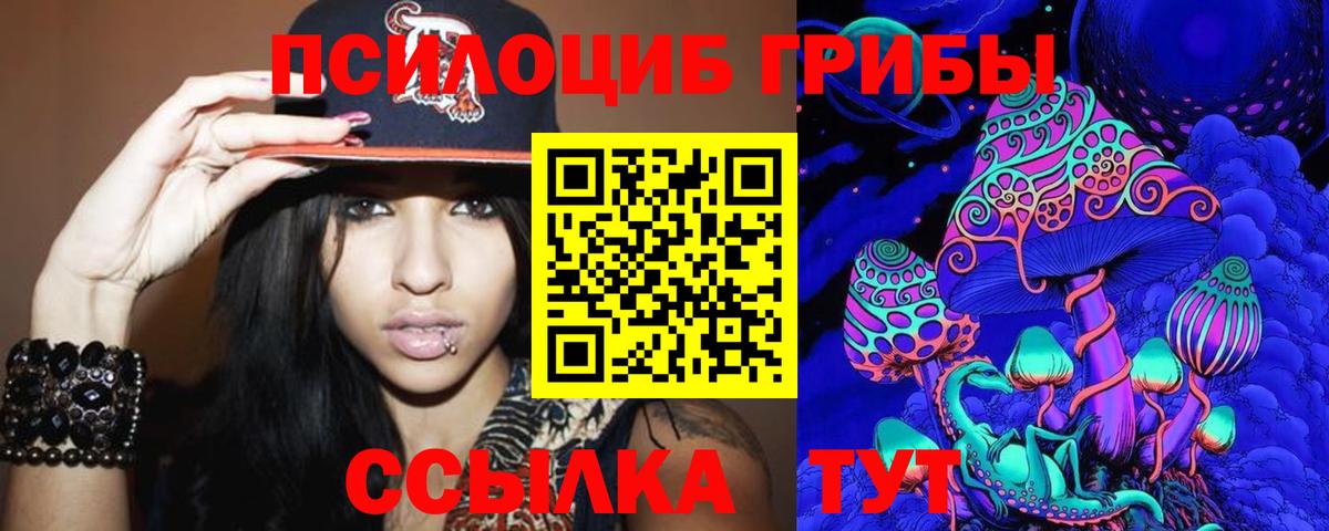 Знаменск  Псилоцибиновые грибы Psilocybe  Вход с VPN 