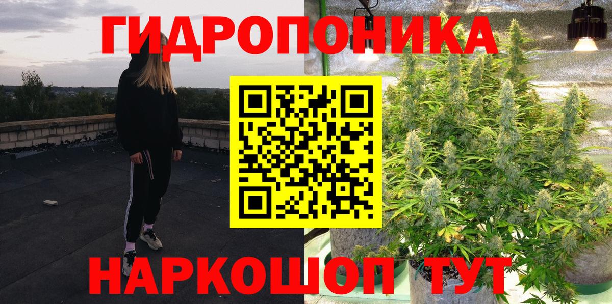 Каннабис OG Kush Знаменск